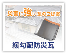 �Ɍ��z�h�Њ�