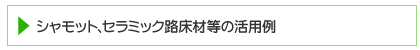 �V�����b�g�E�H���ޓ��̊��p��