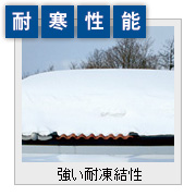 耐寒性能