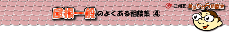 ������ʂ̑��k�W