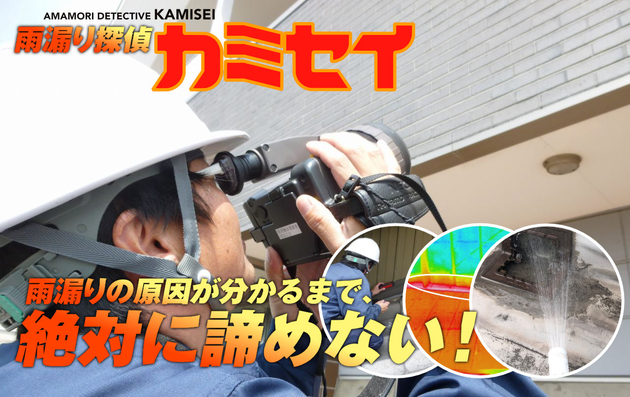 雨漏り探偵カミセイ