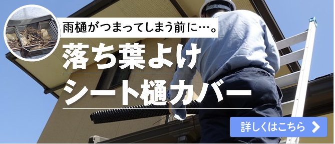 落ち葉よけシート